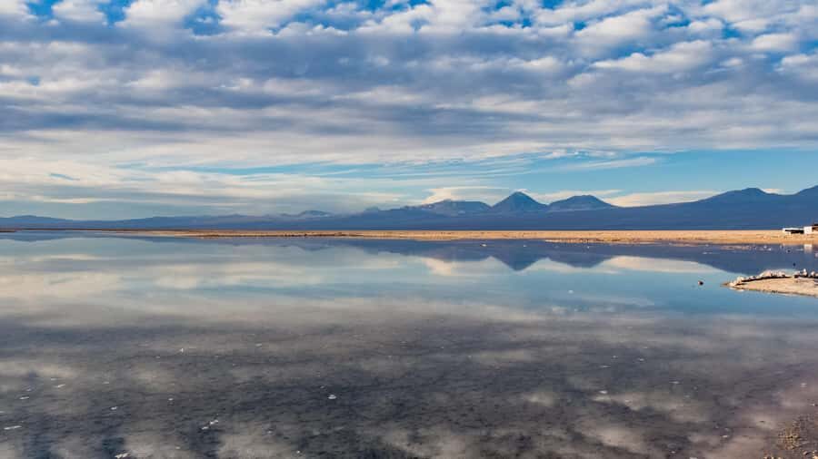 Salar de Atacama and altiplanic lagoons - Altiplanic Lagoons at 4,200 meters: wildlife first, photos second