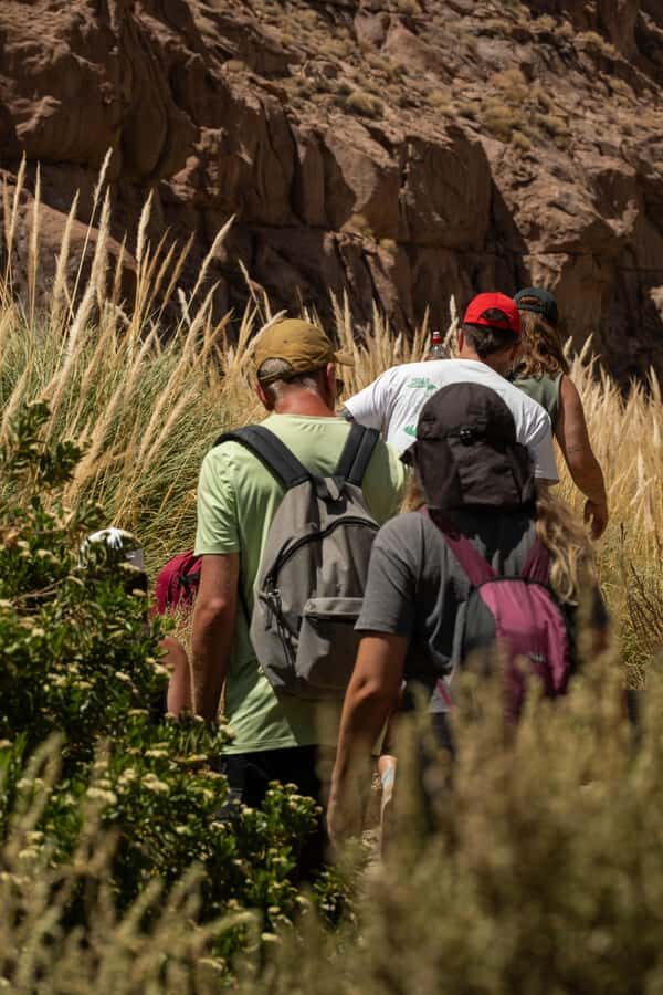 San Pedro de Atacama: Canyon Swimming Pools Trekking Trip - Key Highlights You’ll Actually Feel