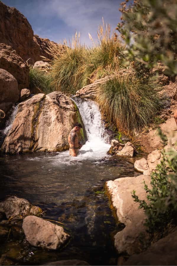 San Pedro de Atacama: Canyon Swimming Pools Trekking Trip - Desert Life with a Guide: What You Gain Beyond Photos