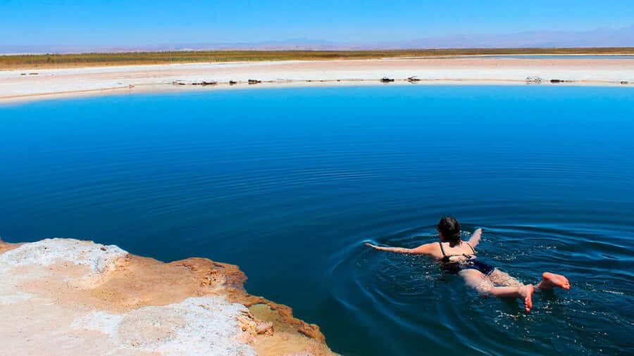 San Pedro de Atacama: Cejar Lagoon - Cejar Lagoon Float: Why This Salt-Tour Feels So Different