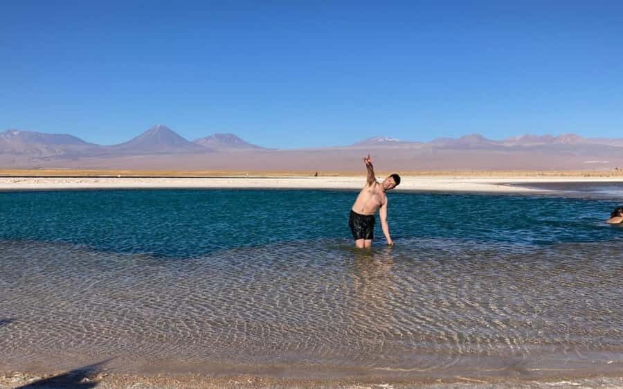 San Pedro de Atacama: Cejar Lagoon - Laguna Cejar: Turquoise Water, High Salt, and Licancabur Views