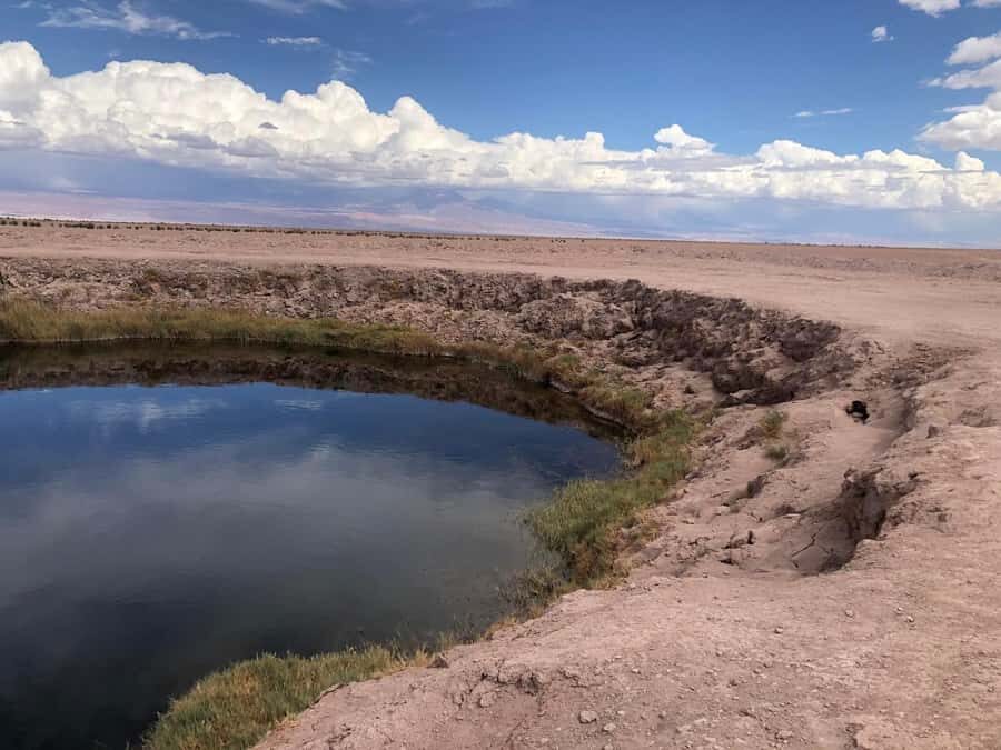 San Pedro de Atacama: Cejar Lagoon, Tebenquiche & Ojos Salar - San Pedro to the Salt Flats: How the 5-Hour Circuit Works