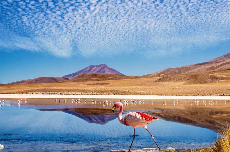 San Pedro de Atacama Day Trip: Atacama Desert and Salt Flats - Pickup in San Pedro and why the day moves fast