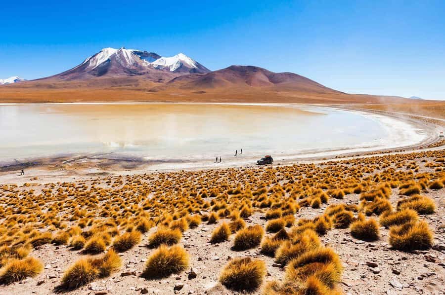 San Pedro de Atacama Day Trip: Atacama Desert and Salt Flats - Mirador de Lickancabur: breakfast with a volcano in your face