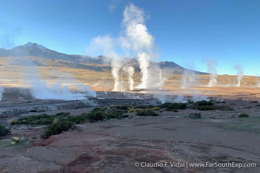 San Pedro de Atacama: El Tatio Geyser Field and Wetlands - Key highlights at a glance