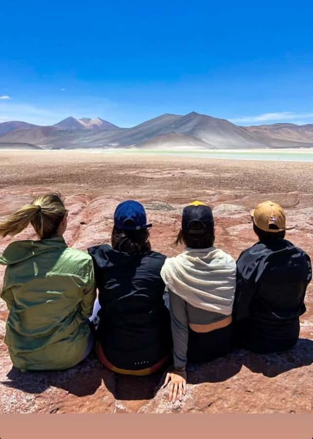 San Pedro de Atacama: Piedras Rojas and Lagunas Altiplanica - Laguna Chaxa and the flamingos: a salty-water opener