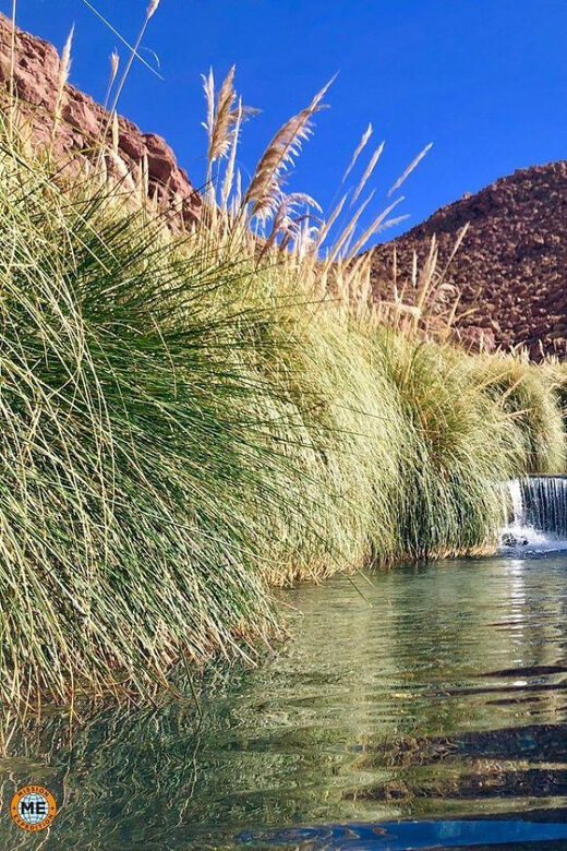 San Pedro de Atacama: Puritama Hot Springs - How the 4.5-hour outing works, from pickup to city drop-off