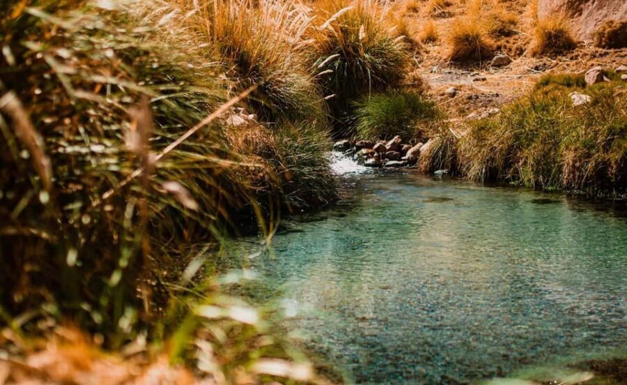 San Pedro de Atacama: Puritama Hot Springs - FAQ