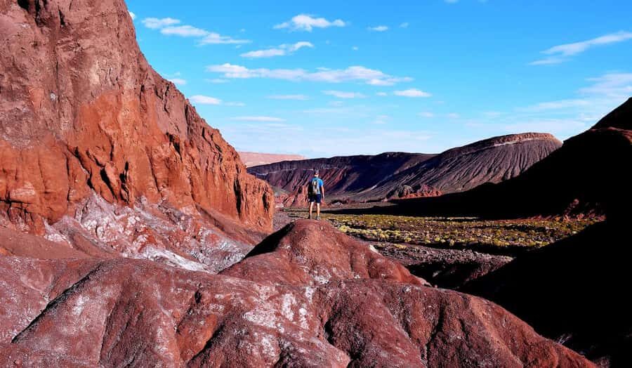 San Pedro de Atacama: Rainbow Valley & Good Herbs Tour - Price and Value: What $48 Gets You (and the Cash Entrance Fee)