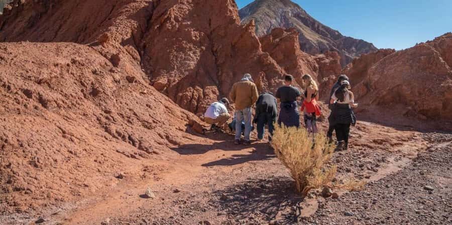 San Pedro de Atacama: Rainbow Valley & Good Herbs Tour - Who This Tour Suits Best