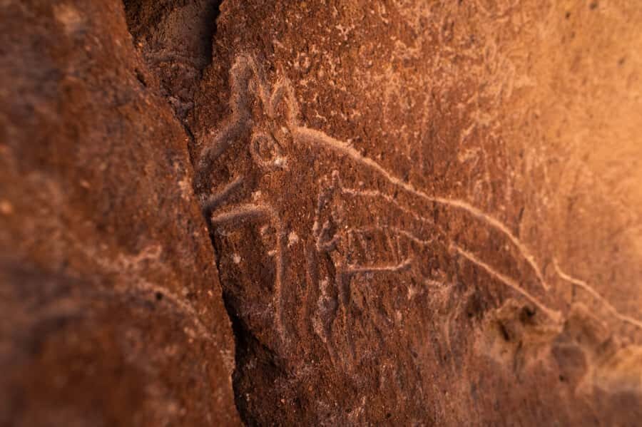 San Pedro de Atacama: Rainbow Valley & Hierbas Buenas Tour - Who should book this Rainbow Valley and Yerbas Buenas tour