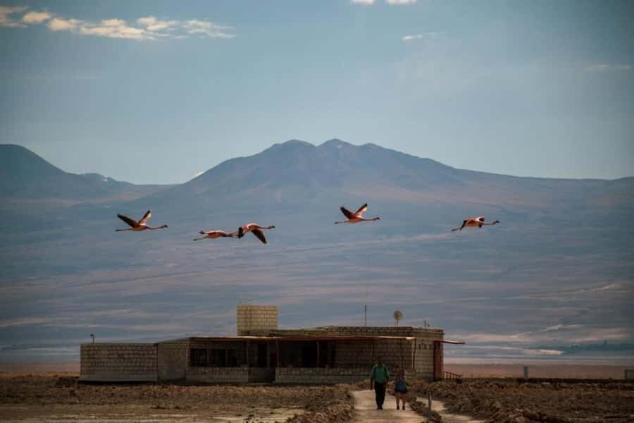 San Pedro de Atacama: Red Rocks and Aliplanic Lagoons - A High-Altitude Day With Real Salt Flats and Real Village Life