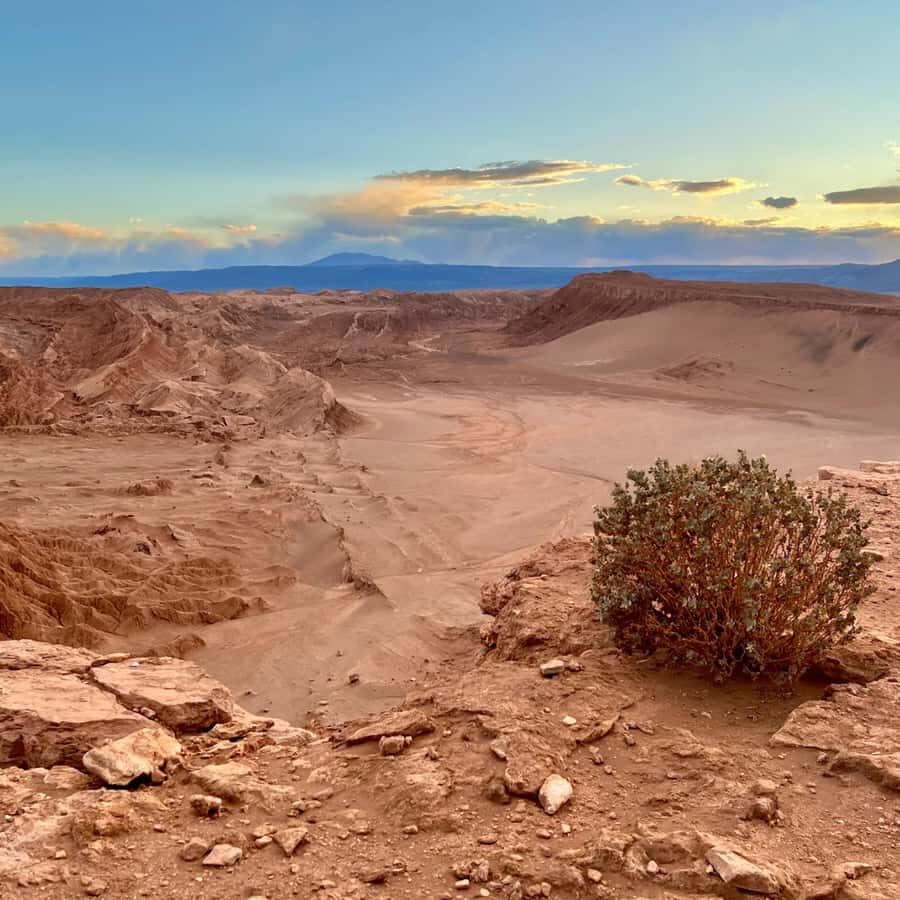 San Pedro de Atacama Tour Guiado Valle de la Luna & Cocktail - Who should book this tour (and who should skip it)