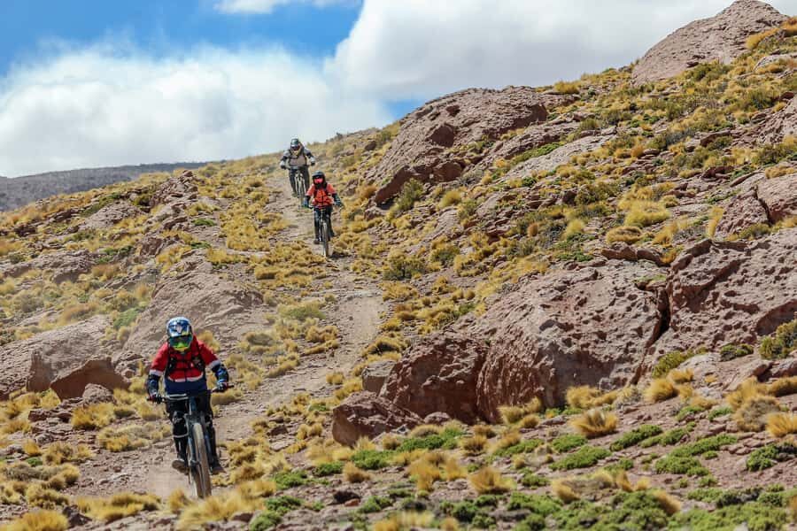 San Pedro de Atacama: Volcano Downhill Bike Tour - Who should book this Cerro Toco bike tour