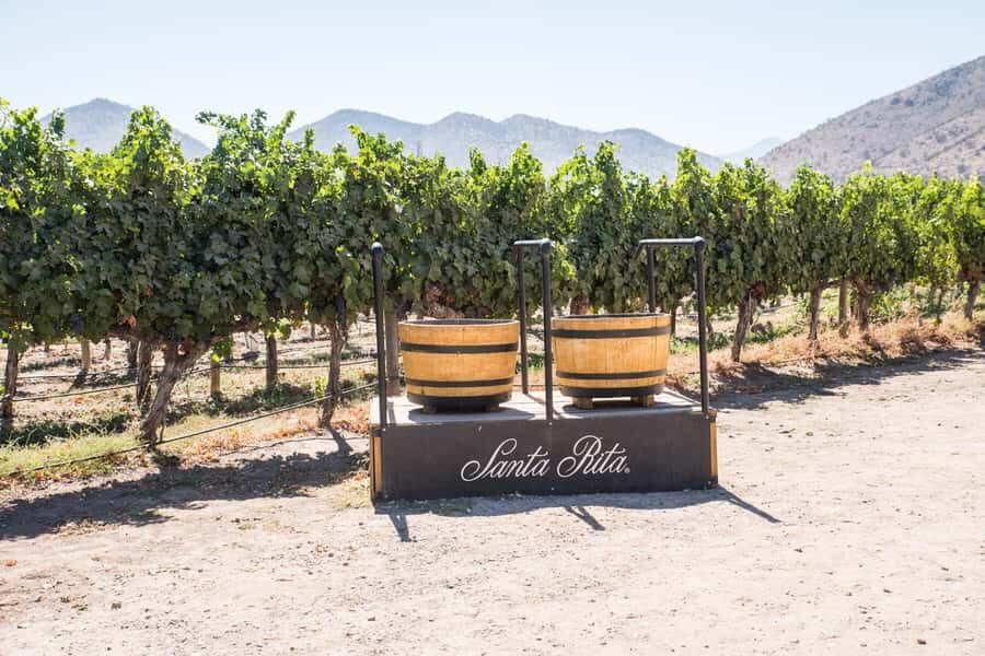 Santa Rita: Tour + Premium Wine Tasting + Private Transport - Key Things to Know Before You Go