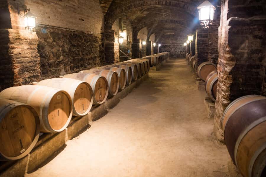 Santa Rita: Tour + Premium Wine Tasting + Private Transport - Private Transport From Santiago: The Smooth Part of the Day