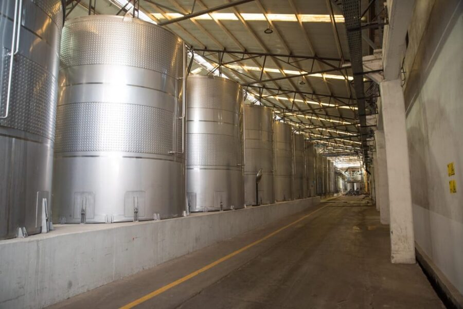 Santa Rita: Tour + Premium Wine Tasting + Private Transport - Who Should Book This Santa Rita Tour (And Who Might Skip It)