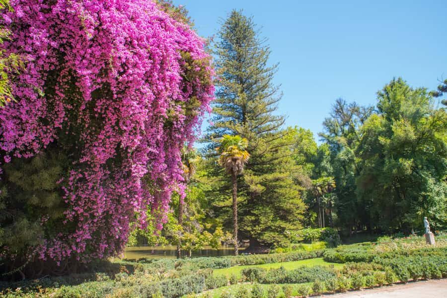 Santa Rita: Tour + Premium Wine Tasting + Private Transport - Getting Oriented at Santa Rita: Grounds, Gardens, and Old-World Details