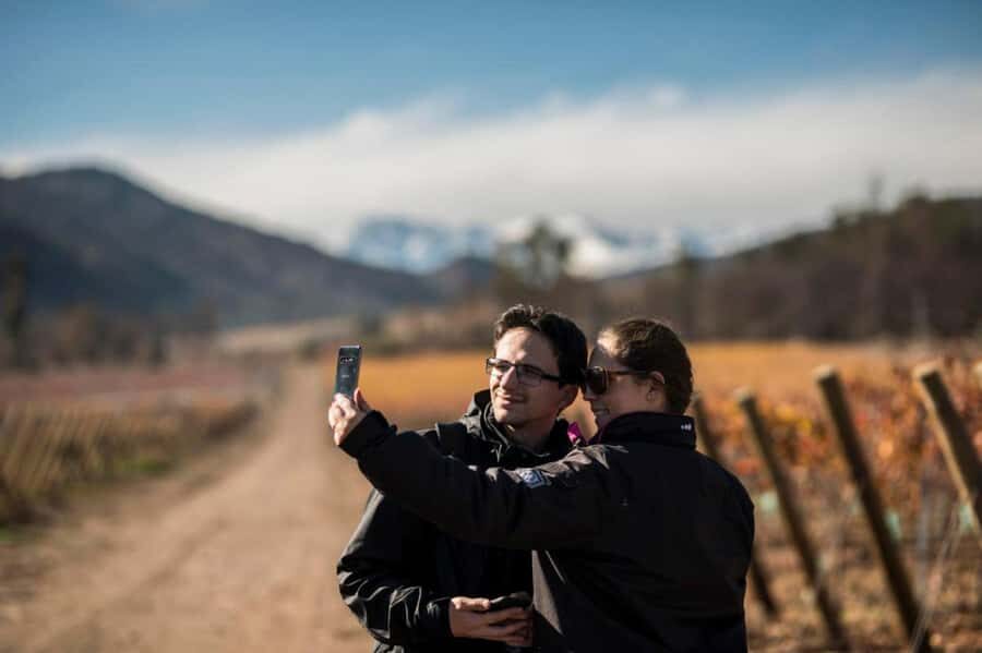 Santa Rita Vineyard Tour: History, Wine, and Outdoor Picnic - Vineyard and Cellar Time: Learning the Process From Harvest to Bottling
