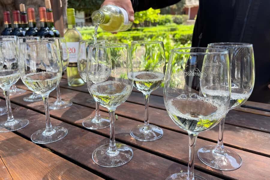 Santa Rita Vineyard Tour: History, Wine, and Outdoor Picnic - Museo Andino: 3,000+ Pre-Columbian Artifacts After the Wine