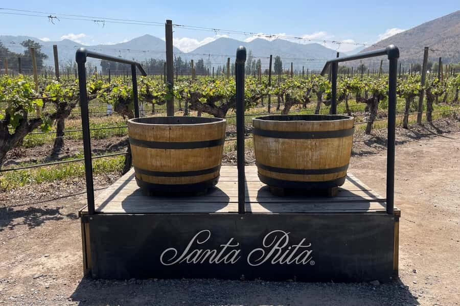 Santa Rita Vineyard Tour: History, Wine, and Outdoor Picnic - Centenary Park Start: Setting the Scene Before the Wine