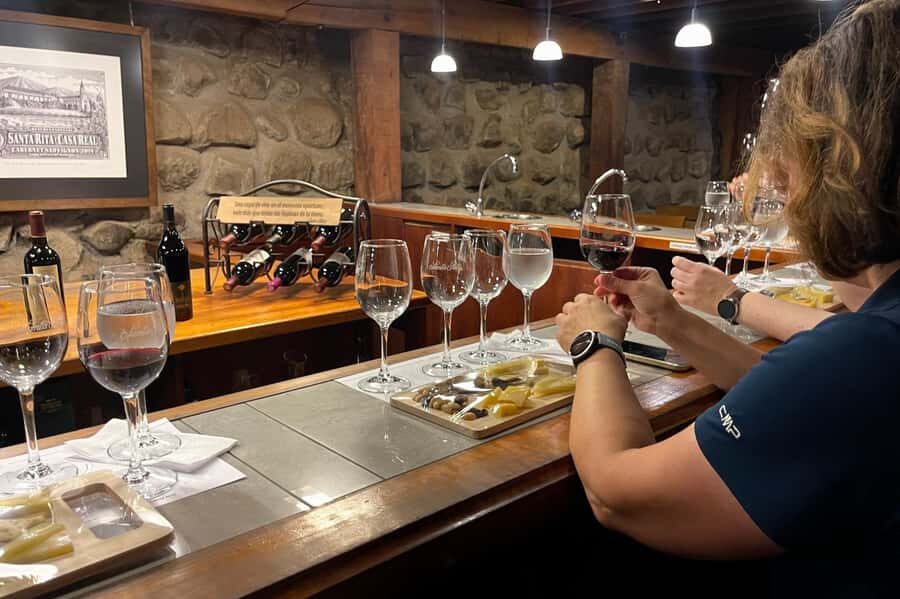 Santa Rita Vineyard Tour with Lunch, an Unforgettable Day! - Andean Museum: 3,000+ pre-Columbian artifacts with shopping time