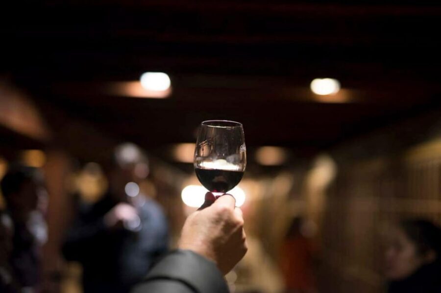 Santa Rita Vineyard Tour with Lunch, an Unforgettable Day! - Should you book Santa Rita with lunch and the Andean Museum?