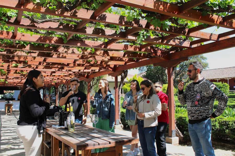 Santa Rita Vineyard Tour with Lunch, an Unforgettable Day! - The 120 Patriots’ Cellar and the three-wine tasting that actually makes sense