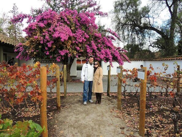 Santa Rita Winery Selection Tour - Key highlights at a glance