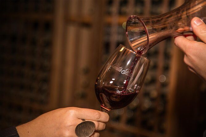Santa Rita Winery Selection Tour - Cal y Canto Cellar and Patriots’ Cellar: seeing aging in real life