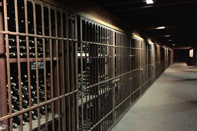 Santa Rita Winery Selection Tour - The Andean Museum after the tour: an easy win on site
