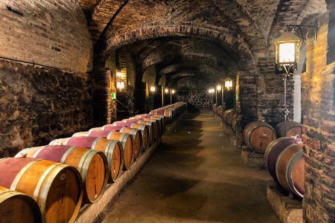 Santa Rita Winery Selection Tour - Price and logistics: whether $44.80 feels fair