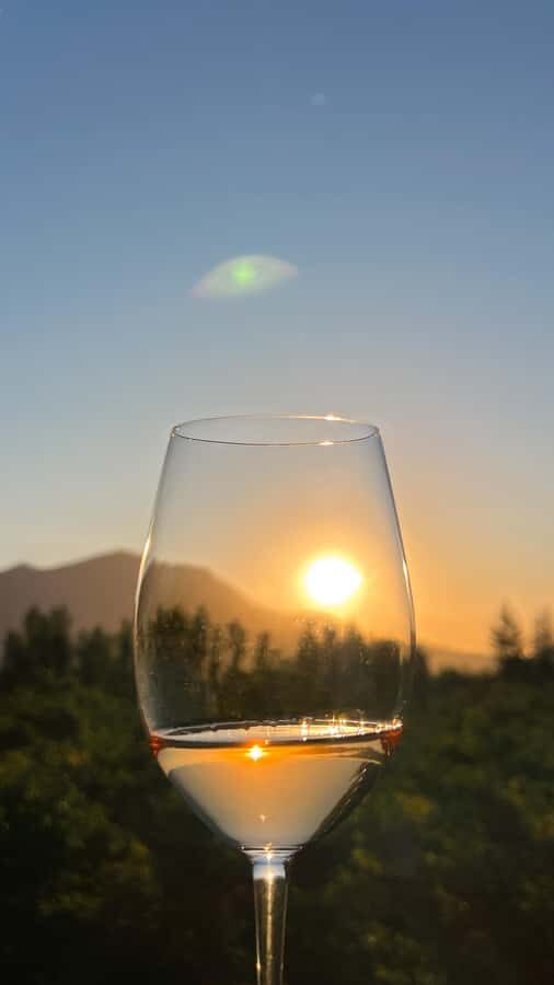Santiago: Alyan Winery Sunset with Wine Tastings and Dinner - Who this tour fits best (and who should skip it)
