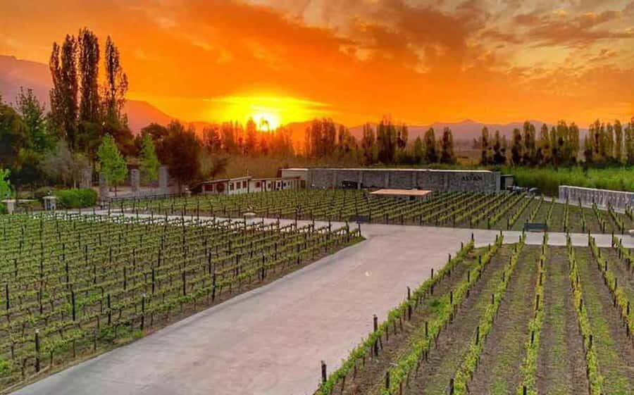 Santiago: Alyan Winery Sunset with Wine Tastings and Dinner - Small logistics that make the day smoother