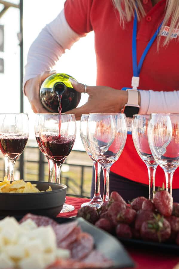 Santiago: Andes Mountains Sunset and Valle Nevado & Picnic - Key things to know before you go