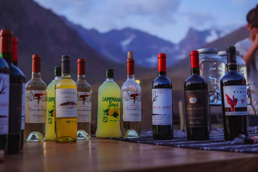 Santiago: Cajón del Maipo Hot Springs & Chilean Barbecue - Drinks with the right geography: central and southern Chile wines