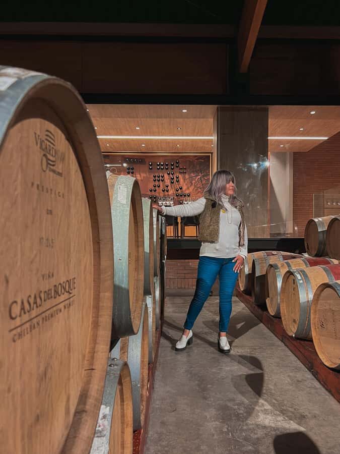 Santiago: Casa del Bosque Winery with Tasting and Lunch - The bottom line: should you book Casa del Bosque with tasting and lunch?
