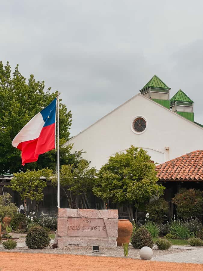 Santiago: Casa del Bosque Winery with Tasting and Lunch - A Santiago wine day that feels like the itinerary, not the stress