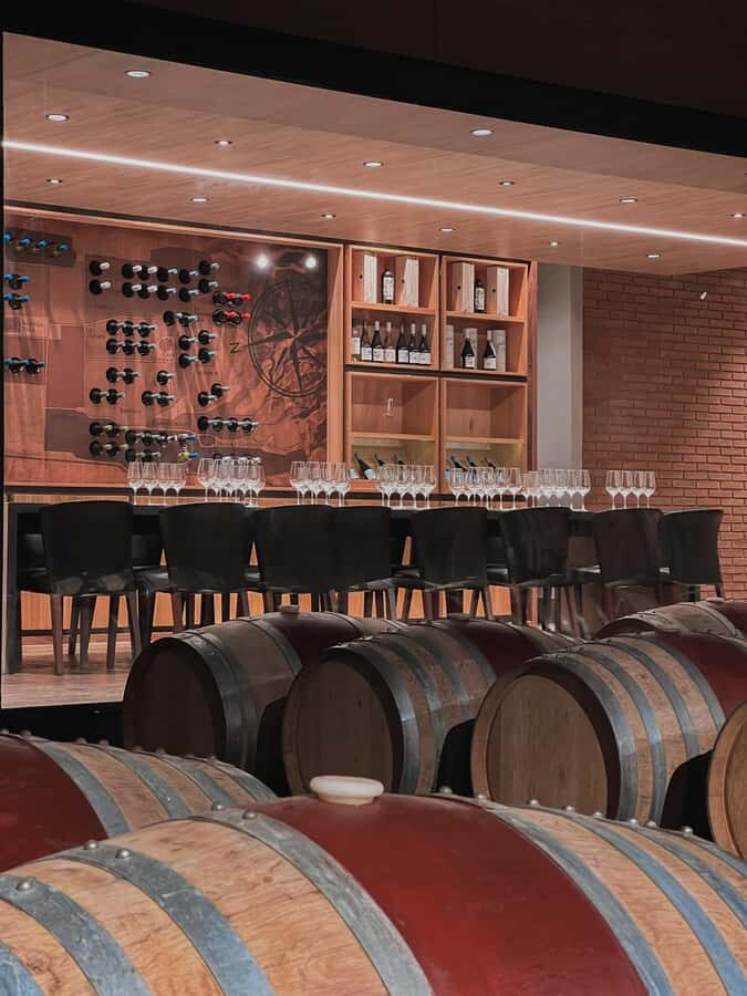 Santiago: Casa del Bosque Winery with Tasting and Lunch - Price and what you’re actually paying for ($120 per person)