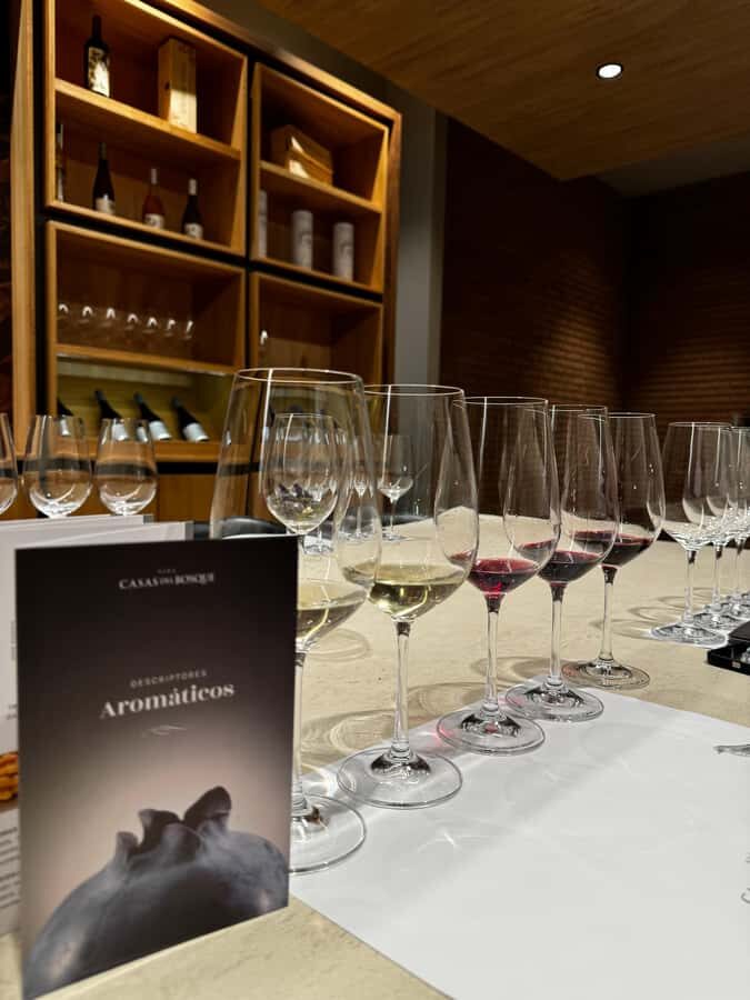 Santiago: Casa del Bosque Winery with Tasting and Lunch - Timing, pickup routes, and how to avoid the stress trap