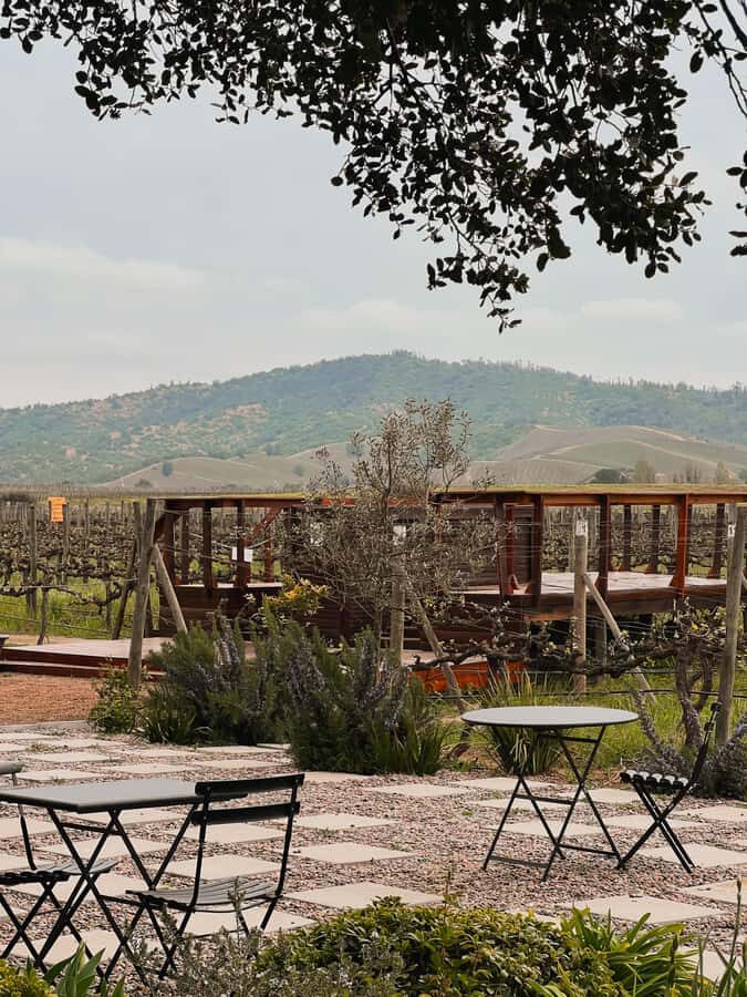 Santiago: Casa del Bosque Winery with Tasting and Lunch - Casa del Bosque: the guided walk that sets up your tastings