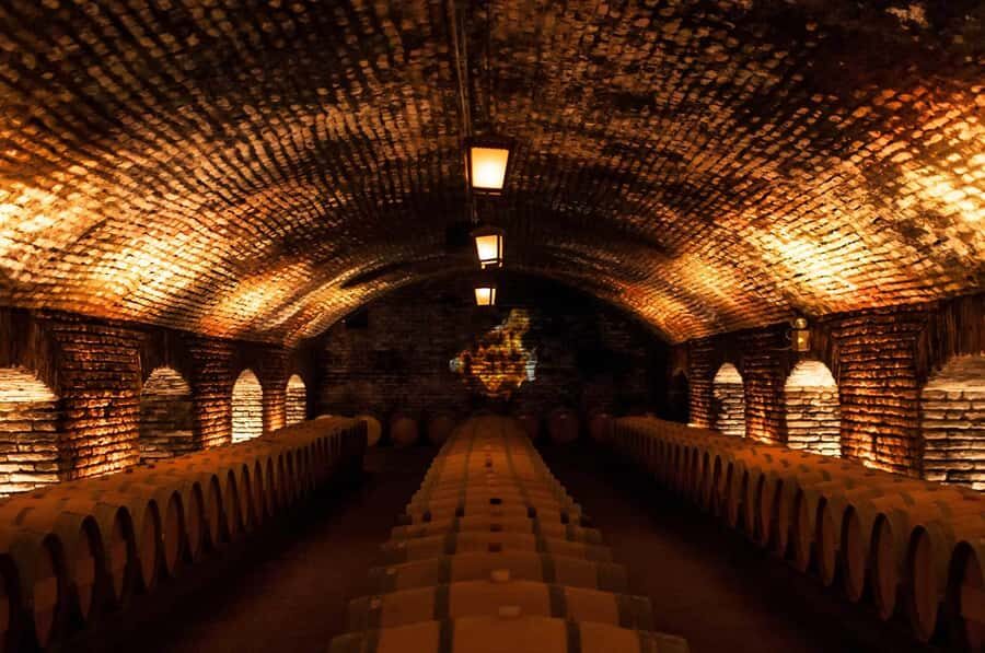 Santiago: Concha y Toro and Undurraga Vineyards Tour - Why Maipo Valley wine fits this short Santiago schedule