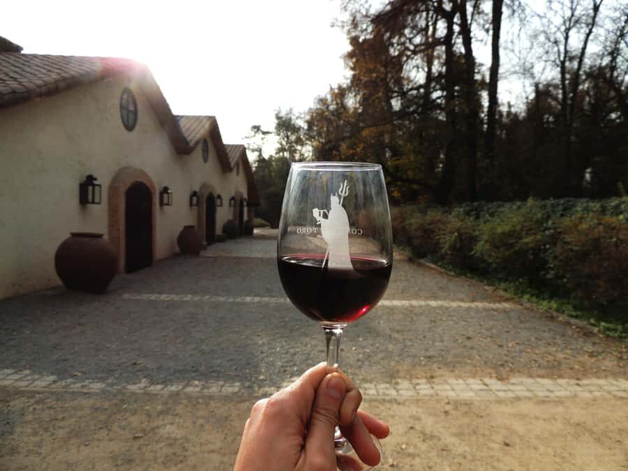 Santiago: Concha y Toro and Undurraga Vineyards Tour - Don Melchor Square to Pirque: Concha y Toro done right