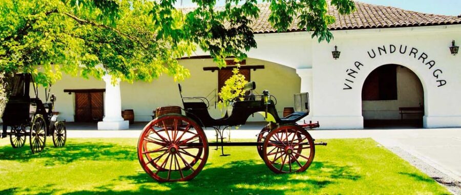 Santiago: Concha y Toro and Undurraga Vineyards Tour - Timing, lunch break, and how to avoid the awkward part