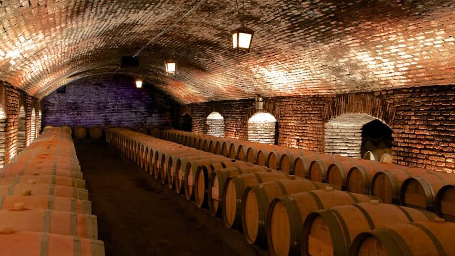 Santiago: Concha y Toro Vineyard Tour w/ Transfer & Tasting - Hotel-to-Vineyard Transfer: Getting to Pirque Without a Hassle