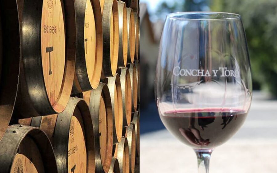 Santiago: Concha y Toro Vineyard Tour w/ Transfer & Tasting - Is Concha y Toro Pirque Worth It at This Price?