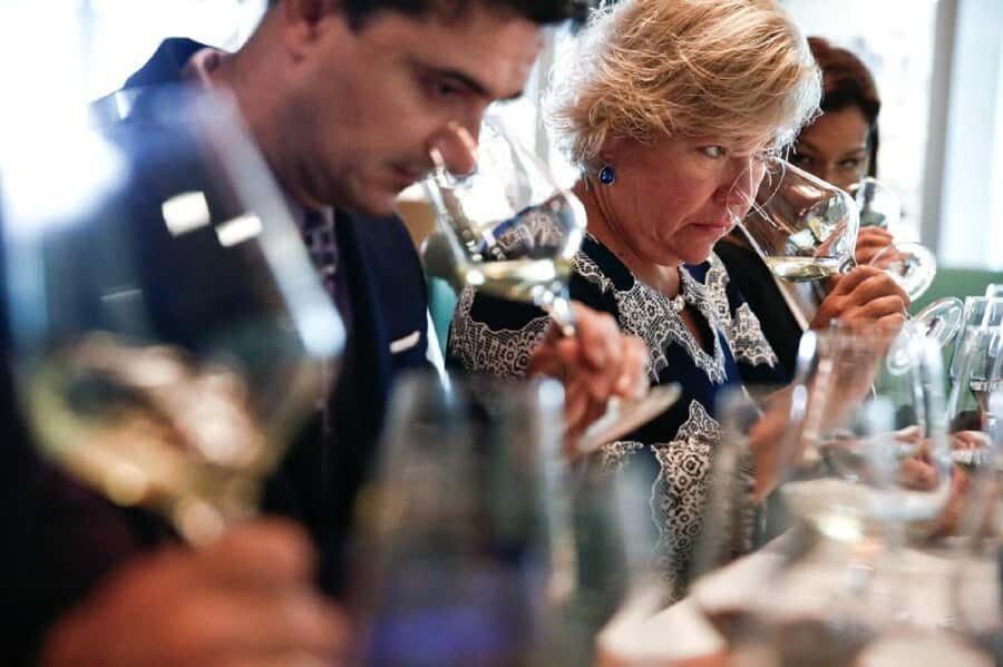 Santiago: Concha y Toro Winery 4–Hour Tour & Sommelier Class - Key Things You’ll Notice on This 4-Hour Concha y Toro Tour