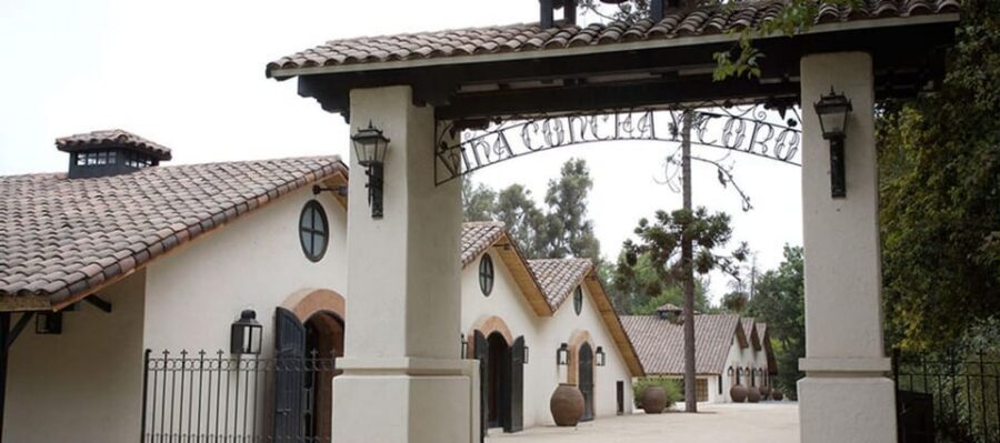 Santiago: Concha y Toro Winery 4–Hour Tour & Sommelier Class - The Tasting Plan: 3 Tastings, Then 4 Premium Wines with a Sommelier and Cheese