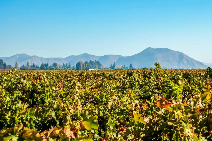 Santiago: Concha y Toro Winery 4–Hour Tour & Sommelier Class - FAQ