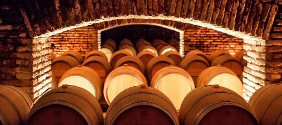 Santiago: Concha y Toro Winery 4–Hour Tour & Sommelier Class - Old Pirque Vineyard Stop: Panoramas That Put the Maipo Valley in Context